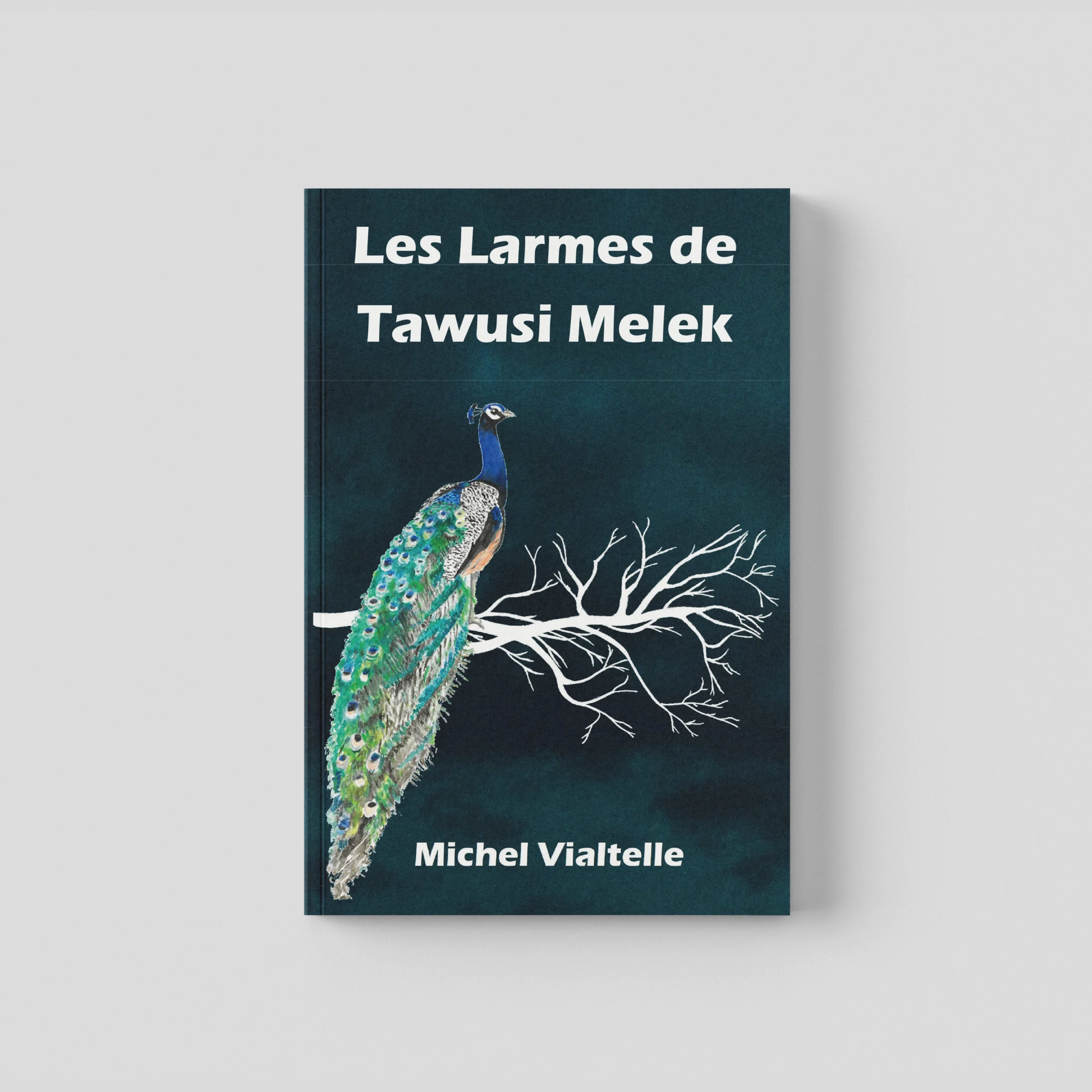 Les Larmes de Tawusi Melek